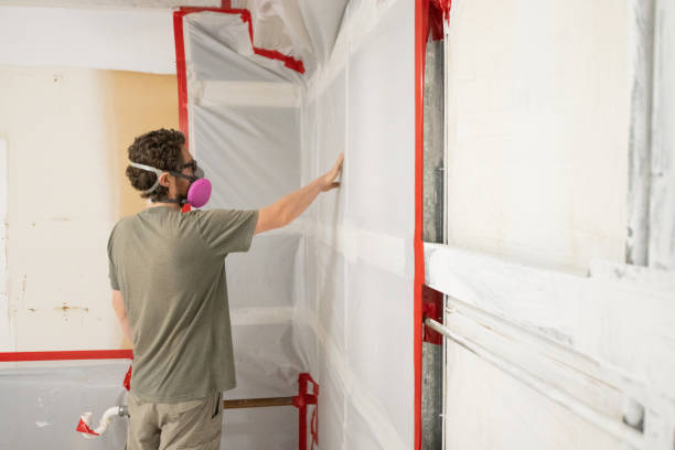 Best Mold Remediation for Rental Properties  in Pearisburg, VA